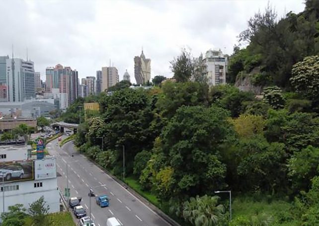 Van flips on its side near Guia Hill Tunnel