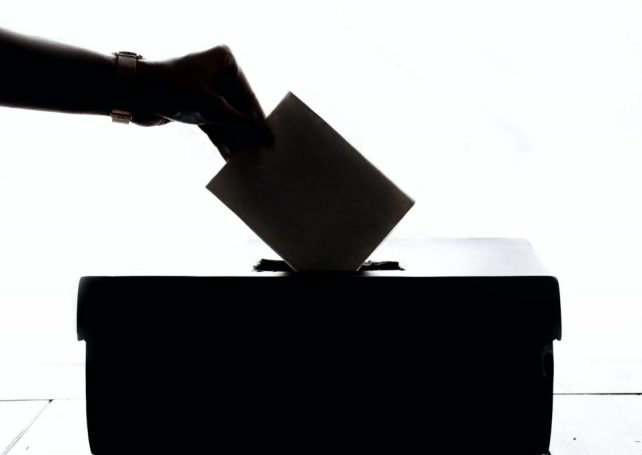 Cheaper elections promised this year