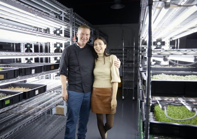 The Changing Face of Farming: It’s Pure Production runs the first and only commercial aquaponics farm in Macao