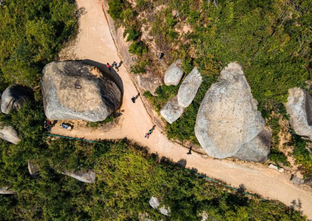 Will Macao’s reforested slopes withstand the next super typhoon?