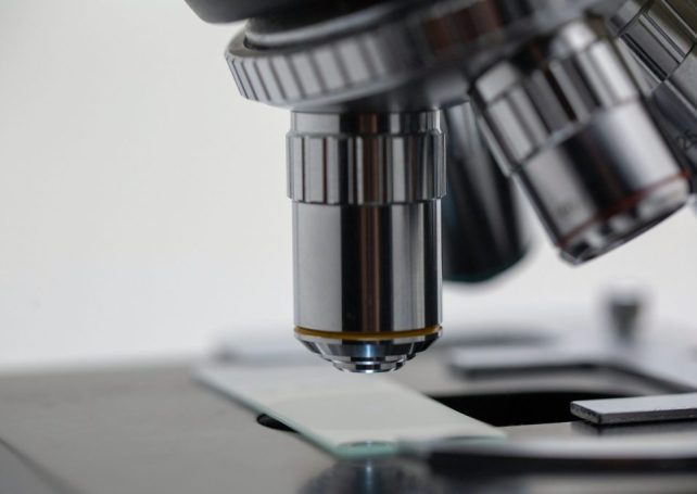 Macao lagging behind in science and technology research