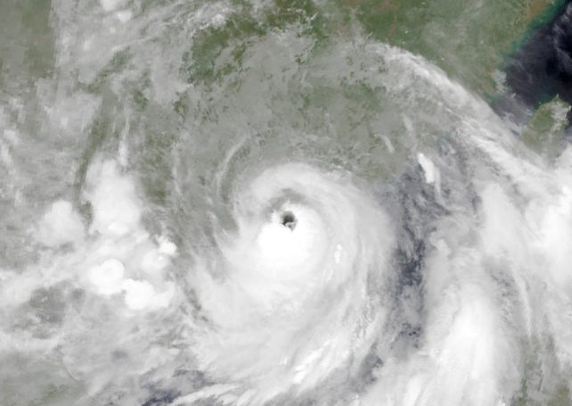Five to eight typhoons to affect Macao this year
