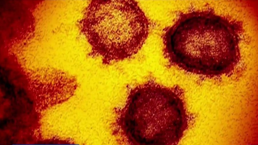 First case of Covid-19 UK variant reported in Macao
