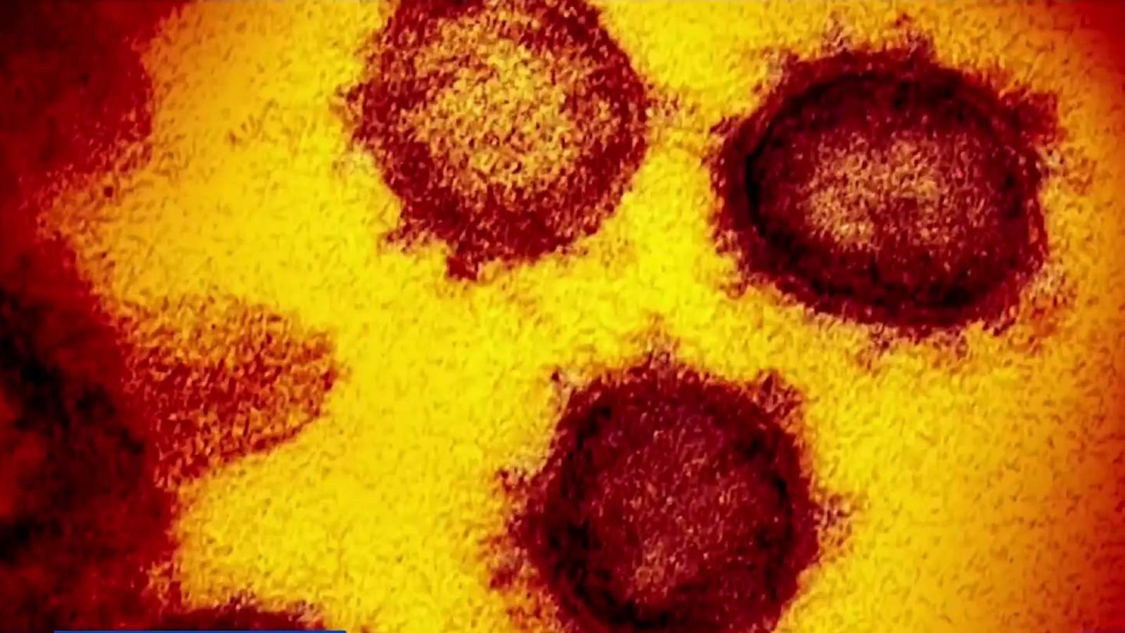 First case of Covid-19 UK variant reported in Macao
