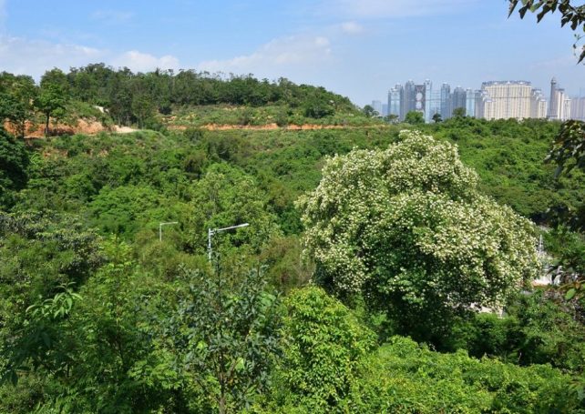Vandals smash hiking trails’ vital amenities