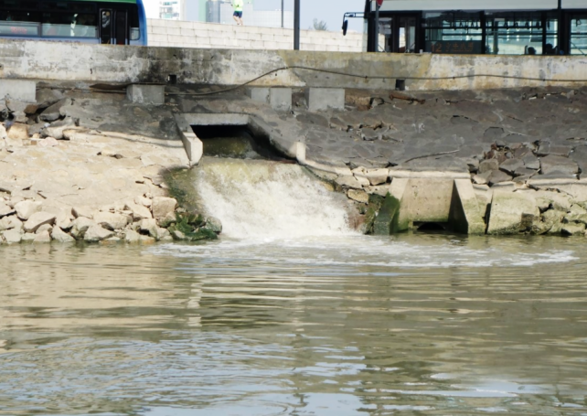 Macao blighted by dirty seas