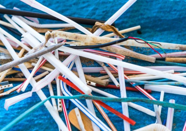 No more single-use straws or stirrers from 2022