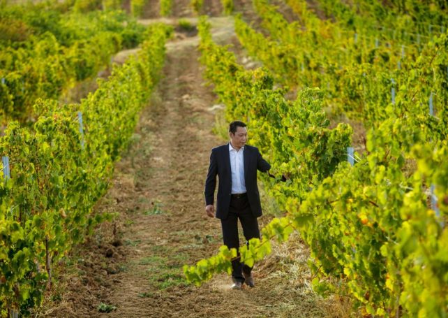 Portugal-China trade and investment to hit new records post-pandemic