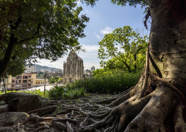 Virtual reality will bring Ruins of St Paul’s to life by year’s end