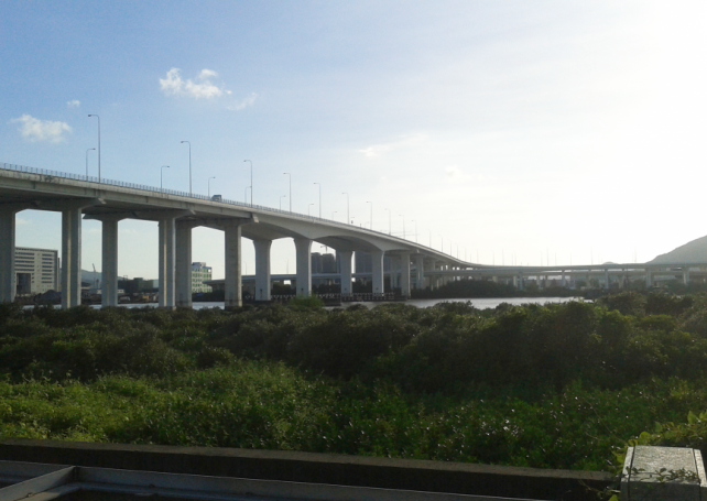 LRT project to cut 1 per cent of mangroves by Lotus Bridge