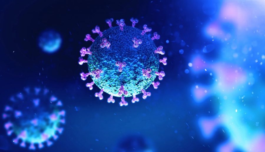 Macao confirms 71st Covid-19 case
