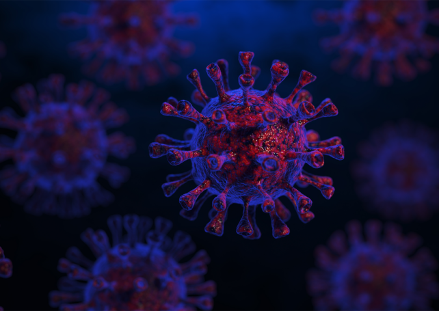 Macao confirms 69th and 70th case of Covid-19