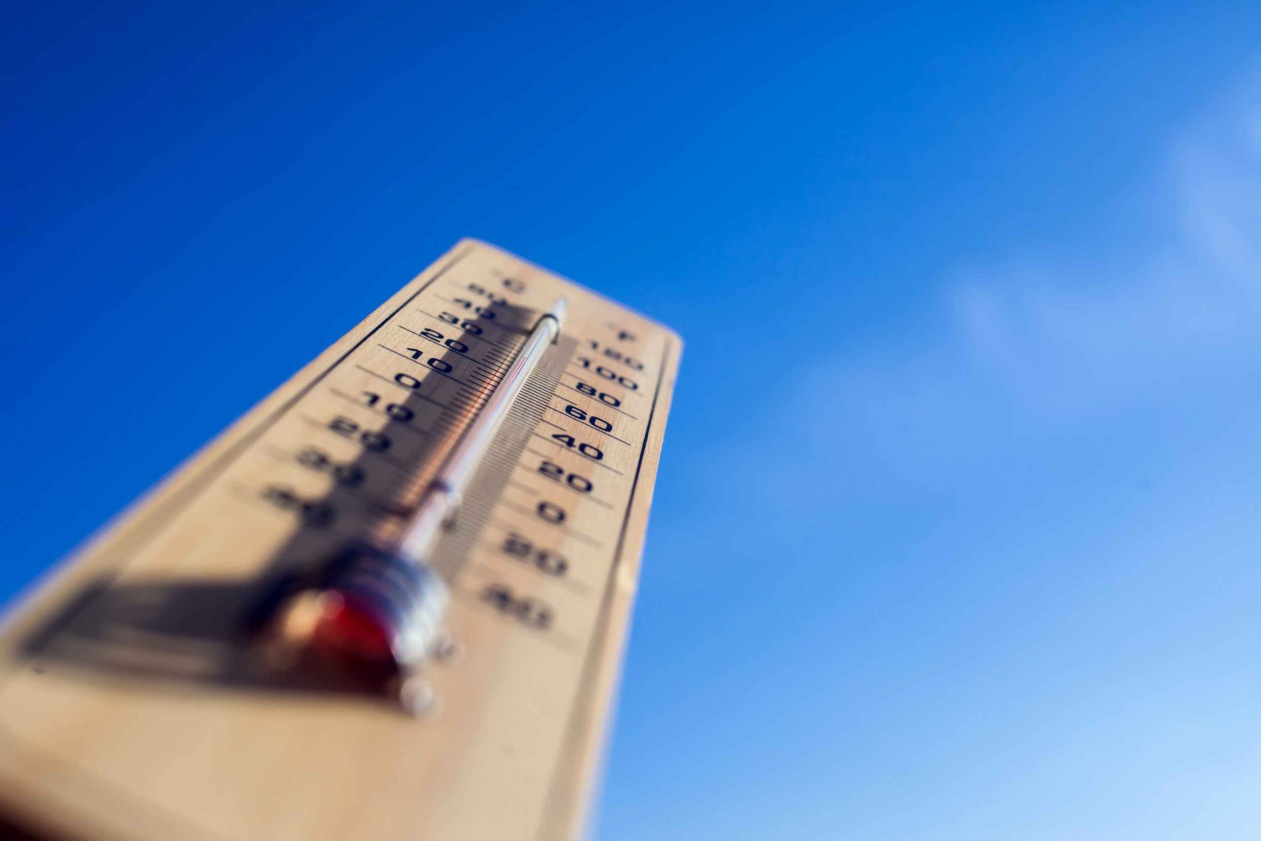 Macao observatory issues cool weather alert