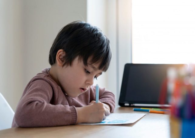 Schools get go-ahead for home-learning as pupils shut out of class