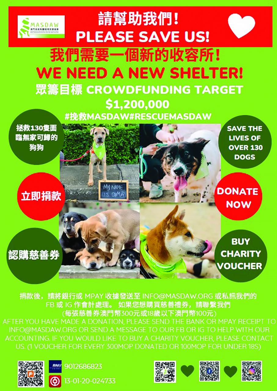 MASDAW fundraising