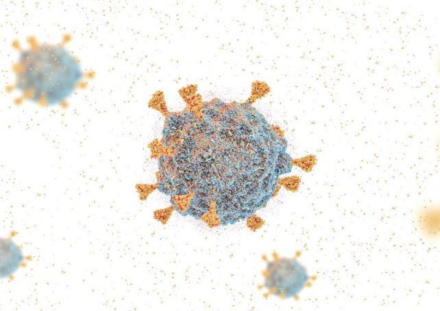 Macao records first imported Covid-19 Omicron case