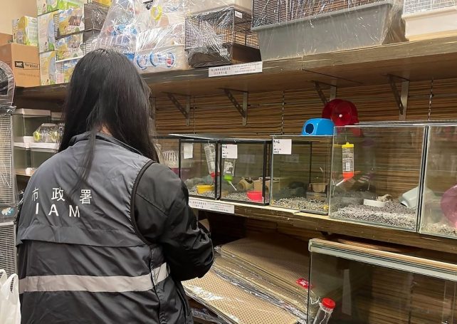 Inspectors give Macao’s hamsters clean bill of health