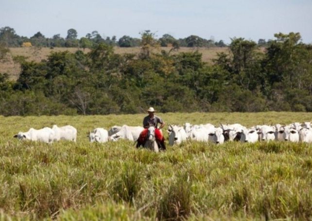 Brazil’s meat industry invests US$190 million in Covid-19 safety and hygiene