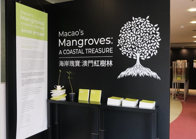 Made-in-Macao mangrove expo heads to Portugal