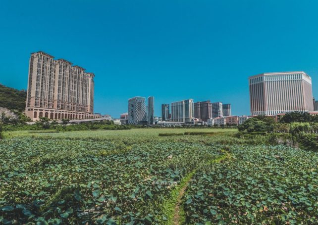 41st Macao Green Week kicks off this Sunday