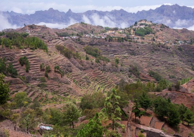 Chinese experts to support Cabo Verde against threat to agriculture
