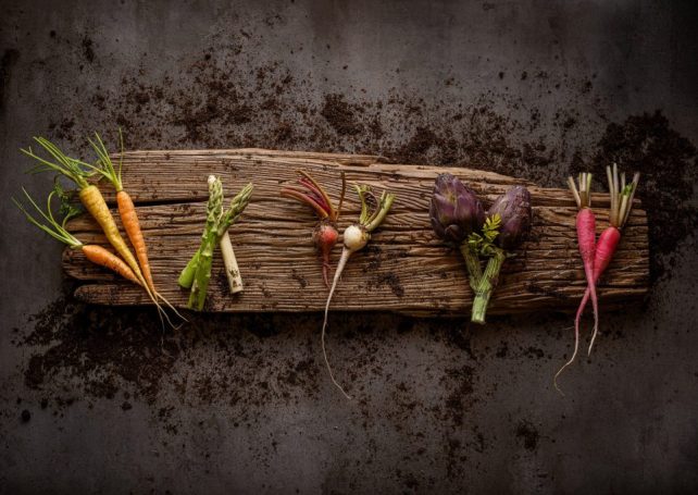 Greener gastronomy: The Manor celebrates sustainability with its latest seasonal set menu