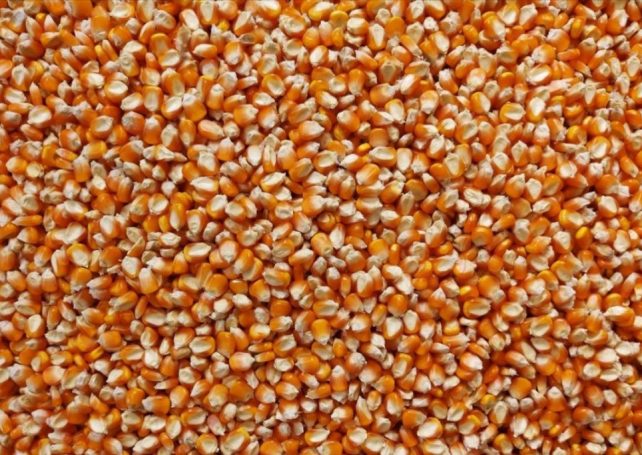 LongPing High-Tech Agriculture investing US$100 million in Brazil