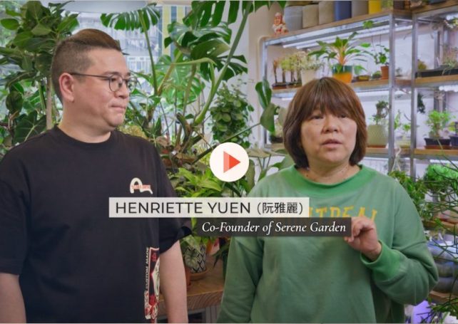 For local flower supplier Serene Garden, business blossoms with Sands China