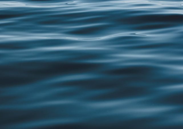 Man’s body found floating off Cotai