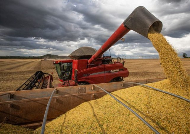 LongPing High-Tech to increase seed production to 20 million bags in Brazil