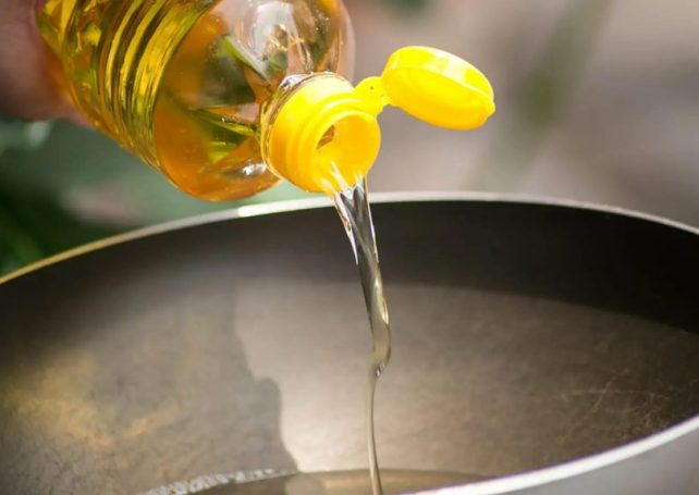 Mozambique President Nyusi inaugurates vegetable oil factory in Niassa