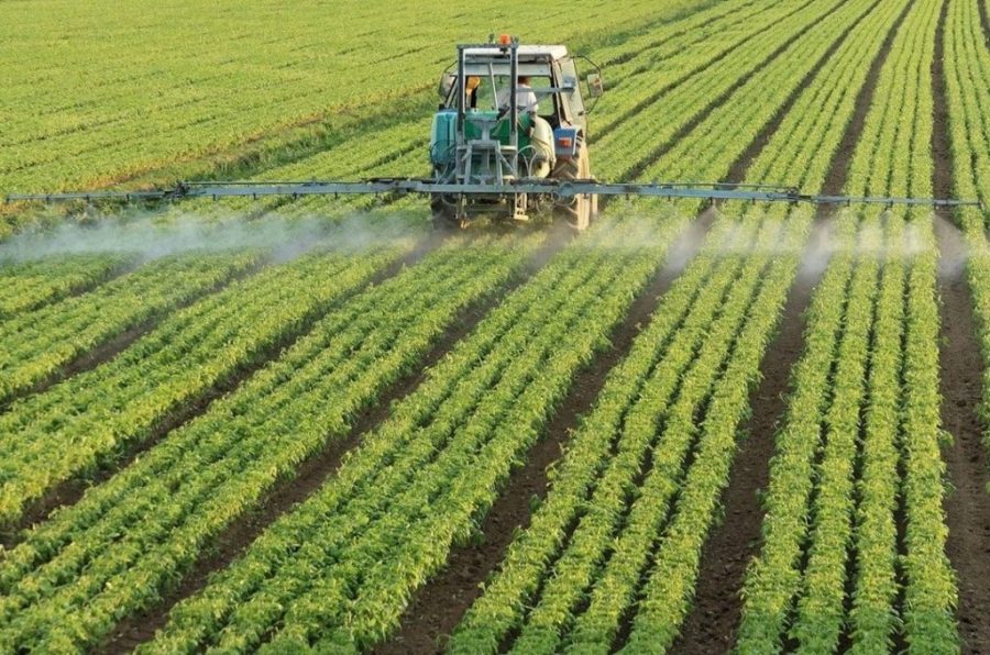 Mozambique to invest US$828 million in agriculture