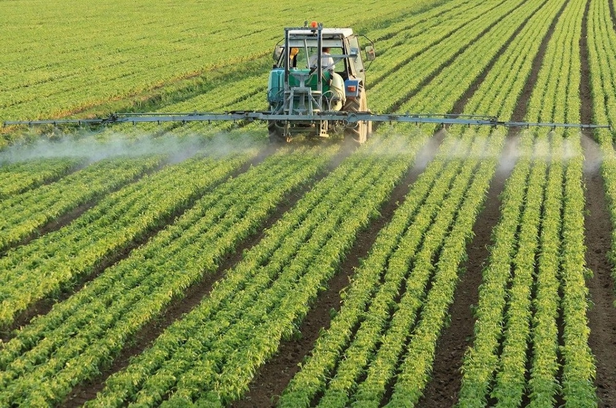 Mozambique to invest US$828 million in agriculture