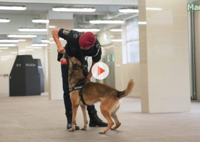 K-9: New breed of heroes in Macao