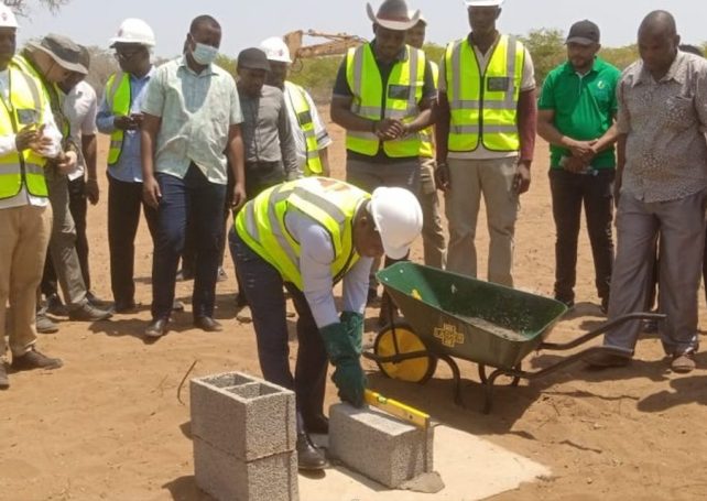 Mozambique to build US$3.5 million cashew nut processing plant