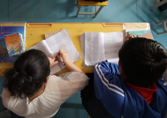 New regulations will allow some former criminals to work in private tutorial centres