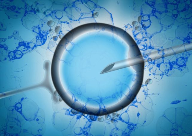 Regulations tightened on assisted reproductive technology for childless couples