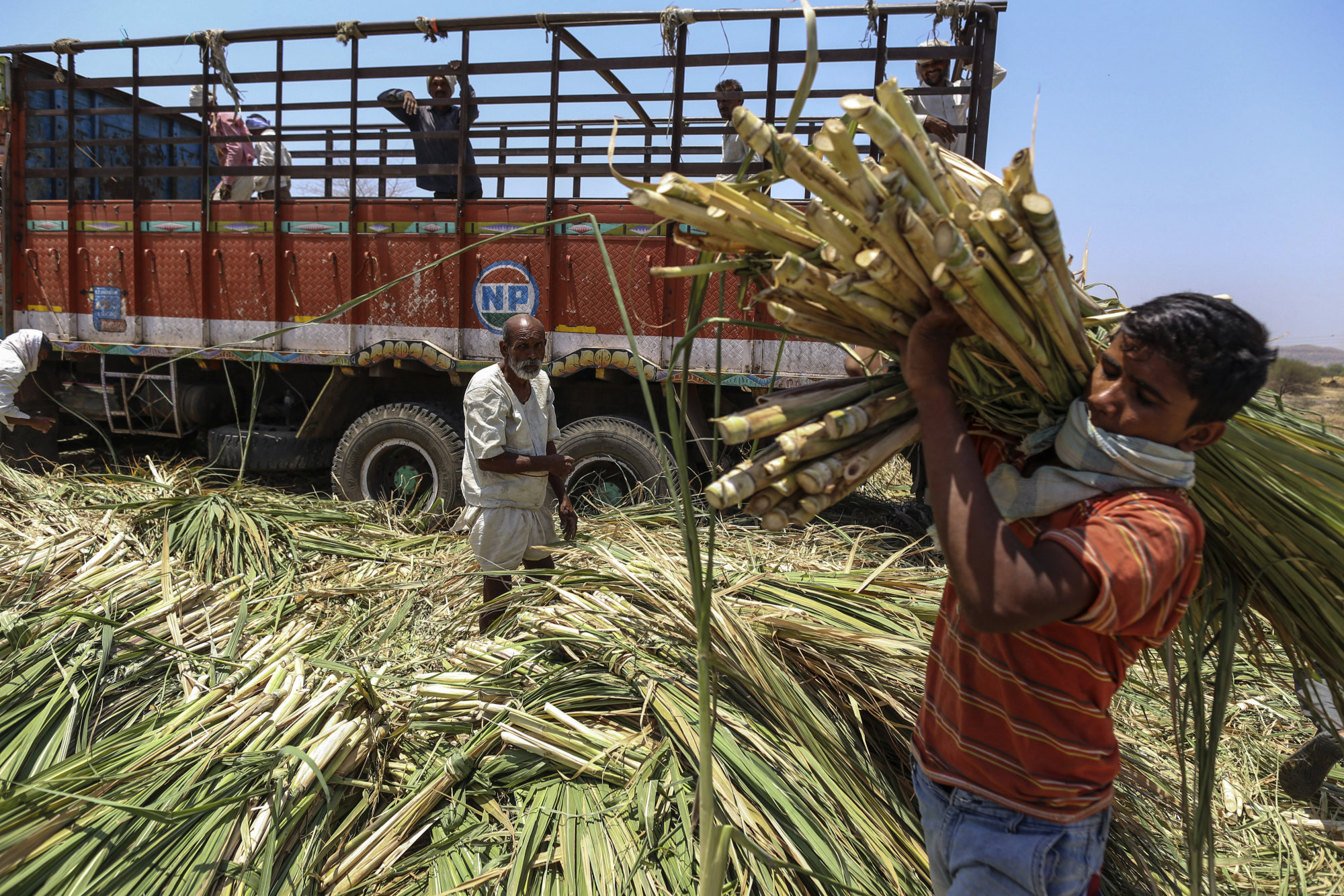 Chinese agribusiness imports from Brazil grow 43.3% in 2022