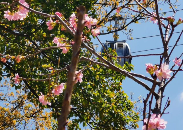 A hotter, drier spring is in store for Macao, meteorologists predict