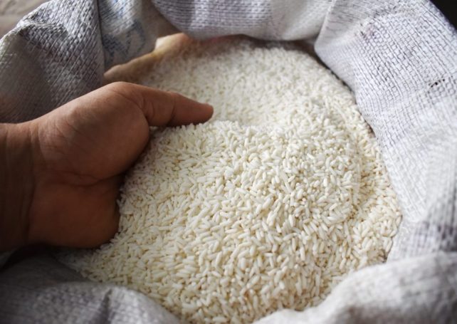 Food aid from China arrives in Guinea-Bissau at a ‘critical’ time