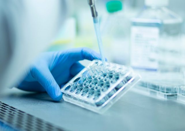 The government is calling for funding applications from science and technology researchers