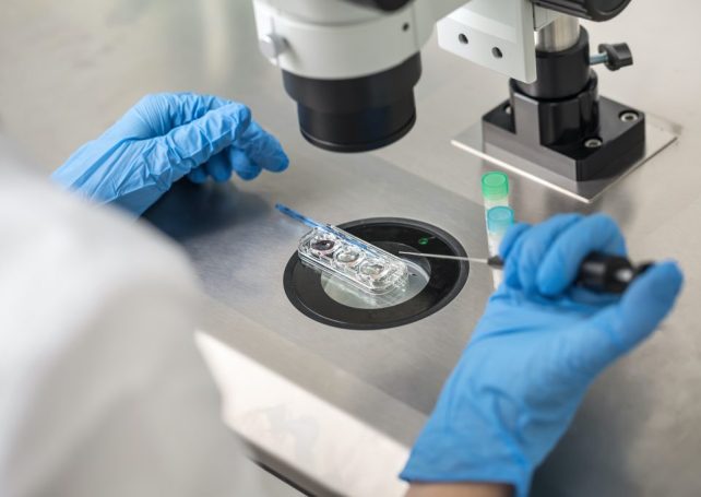 Financial help could soon be available to couples seeking medically assisted reproduction