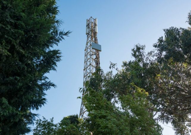 Portugal bans ‘high risk’ countries from its 5G network