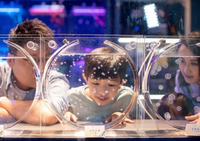 Fun things to do in Hong Kong for Macao families