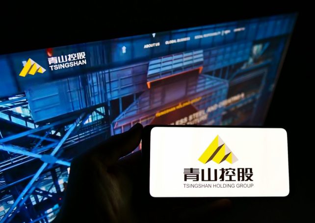 China’s Tsingshan Holdings to develop Africa’s ‘largest green industrial park’