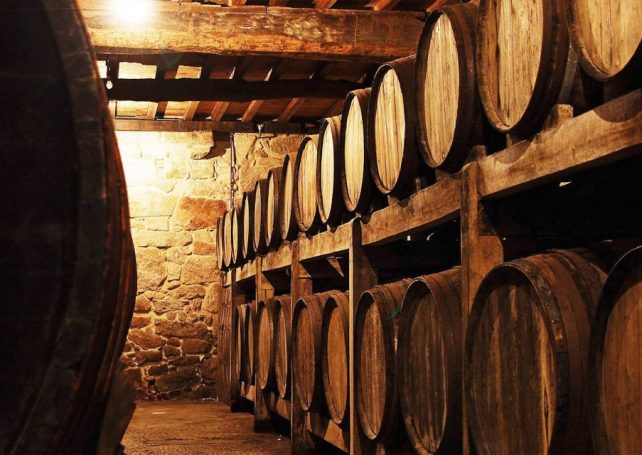 Portugal’s Douro region expects a significant increase in wine production this year