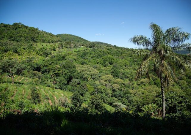 Temperatures in parts of Brazil are exceeding global warming projections