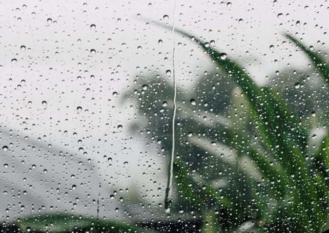 Yes, this has been an exceptionally wet summer