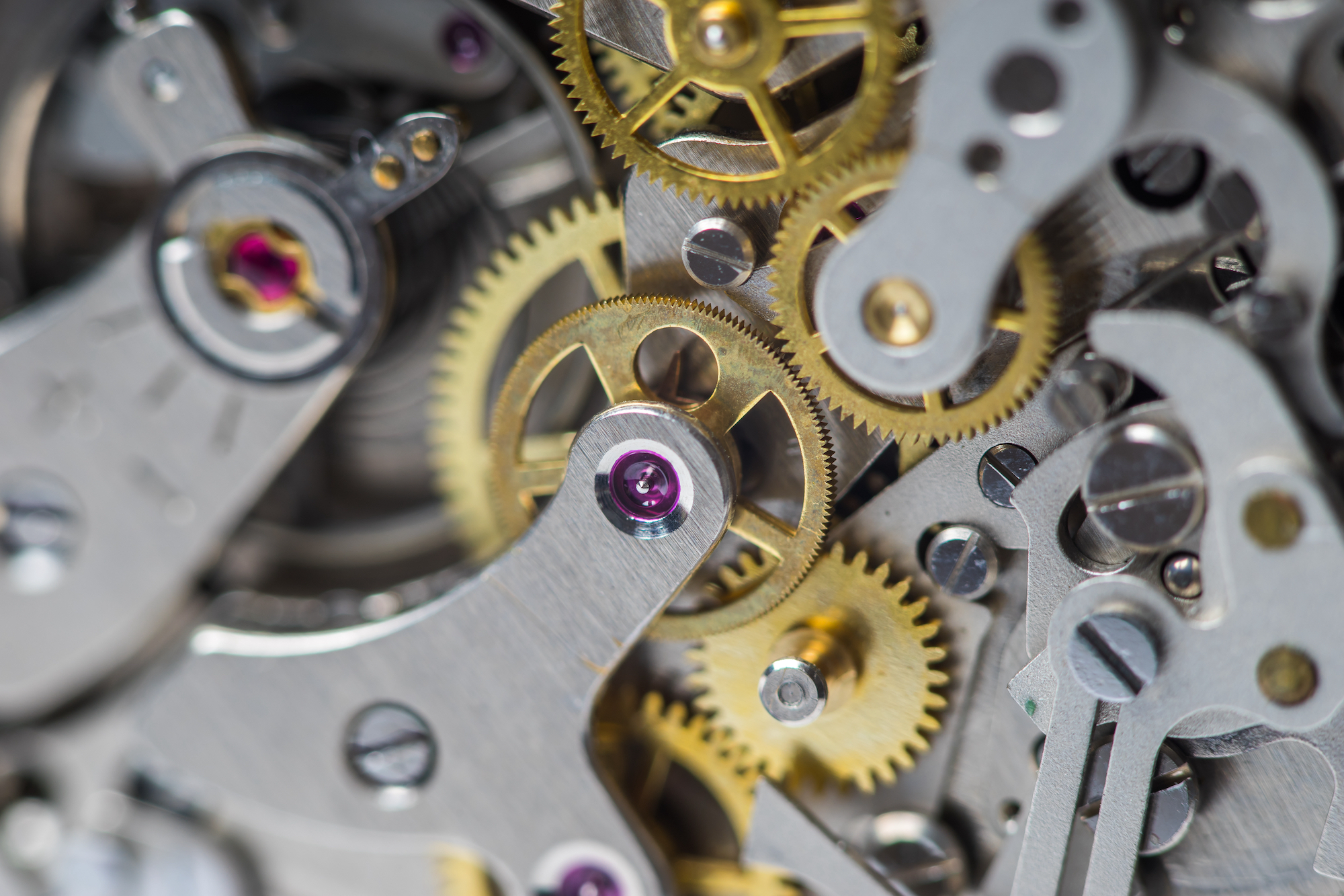 A prestigious touring exhibition of luxury watches kicks off in Macao