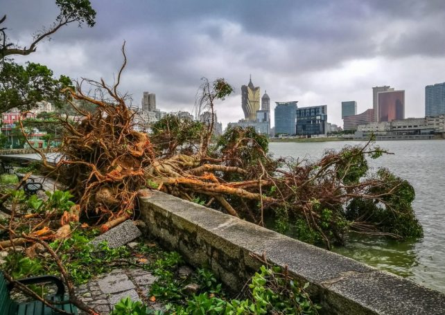 Global climate change is behind the rise in severe typhoons